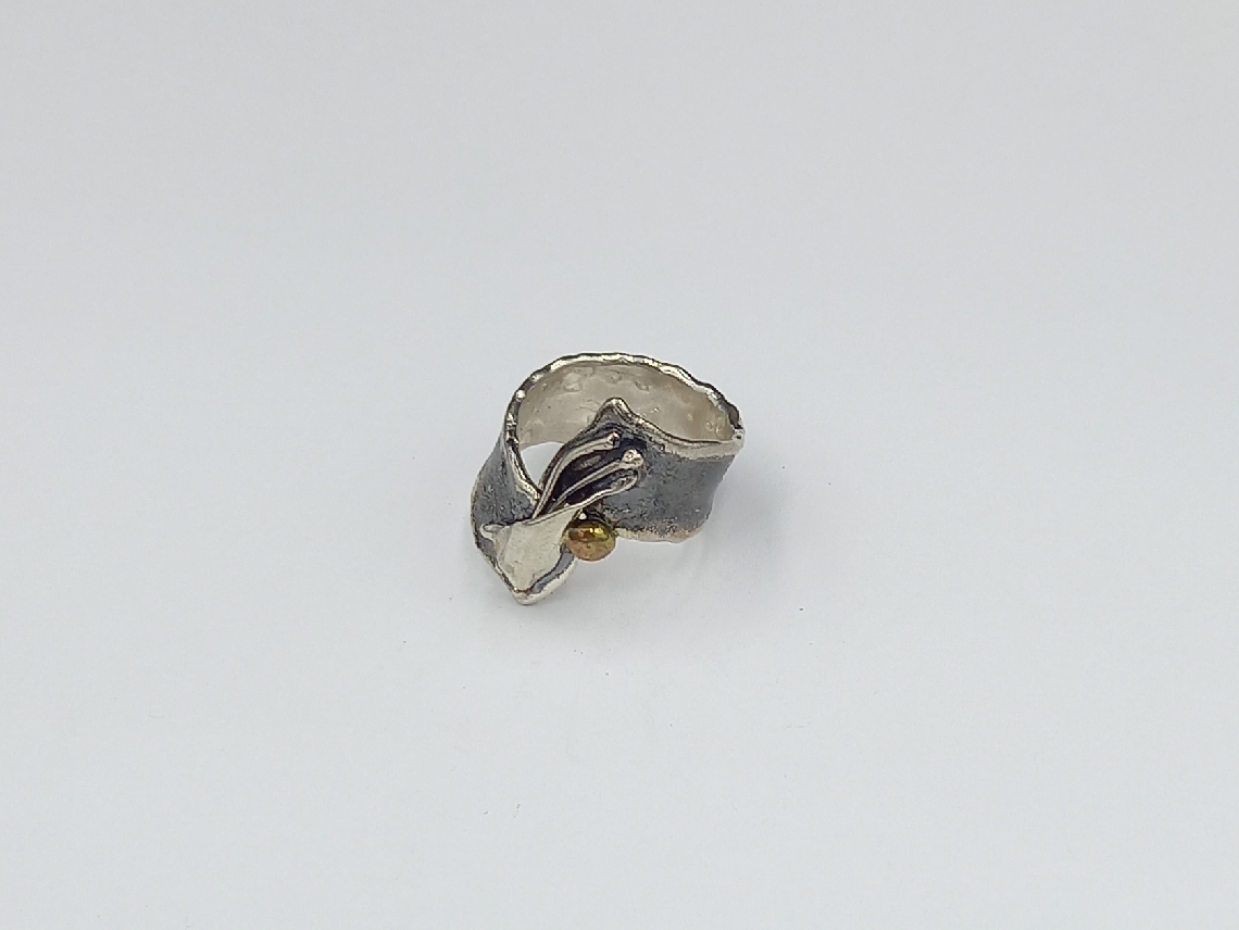 Silver Ring Oxidized with bronze